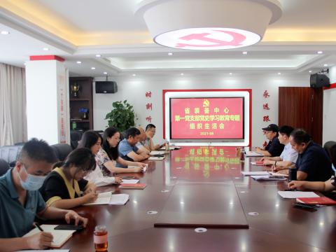 裝備中心各支部召開黨史學習教育專題組織生活會